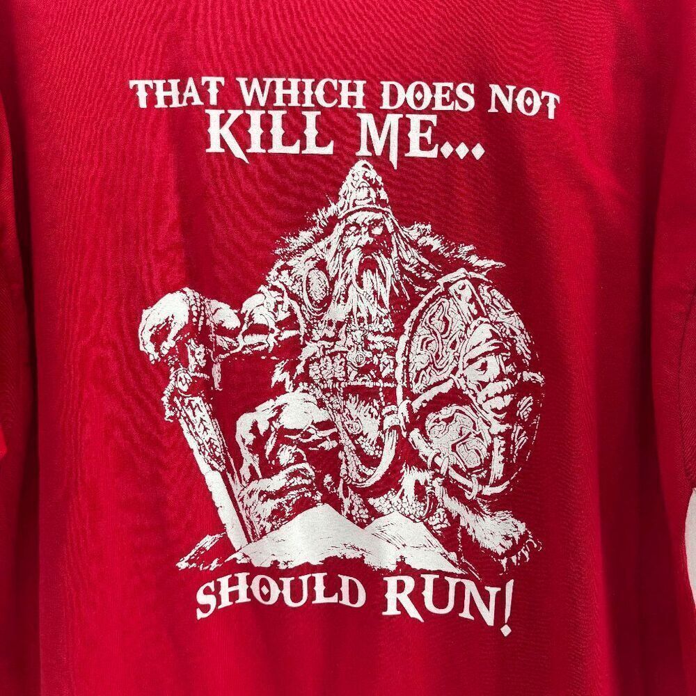 Viking Shirt That Which Does Not Kill Me Should Run Vikings, Odin, Valhalla 2xl